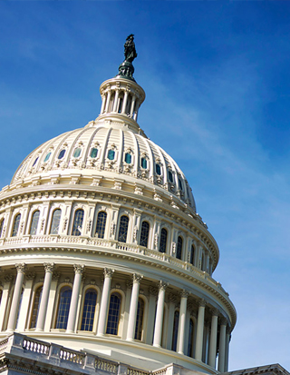 Capitol Dome