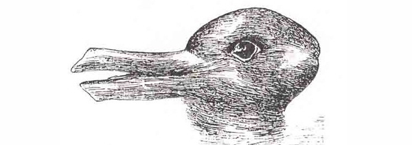 Duck Rabbit illusion