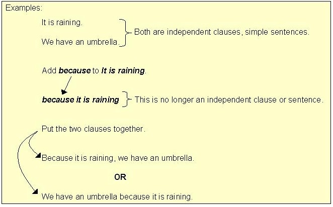 correlative-conjunctions-not-only-but-also-neither-nor-whether-or