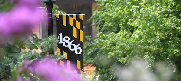 1866 flag surrounded by trees