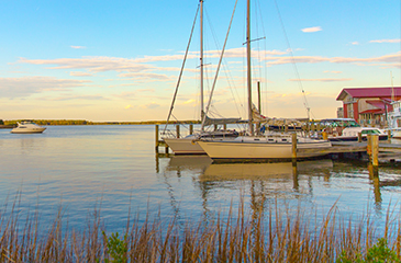 Chesapeake Bay