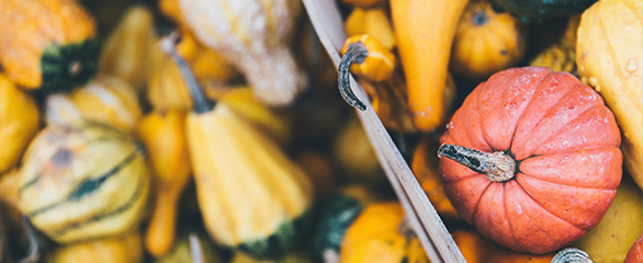 Fall pumpkins