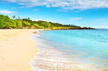 Beach in Hawaii