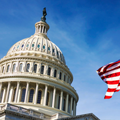 Capitol building in Washington, D.C.