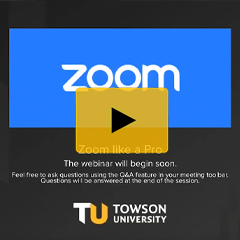 Zoom Like a Pro Webinar tile screen