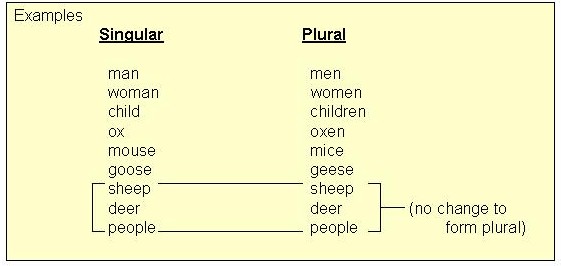 Words that do not change in plural form Nouns Whose Plural Doesn T End In S 500 Results