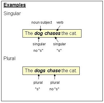 Subject Verb Agreement