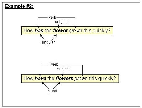 Subject Verb Agreement