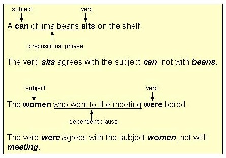 Noun And Verb Agreement Examples